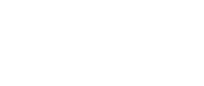 Sanit Gobain White Logo